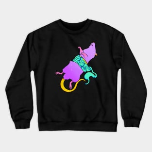 IBS Crewneck Sweatshirt